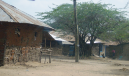 Das Dorf Maziwa